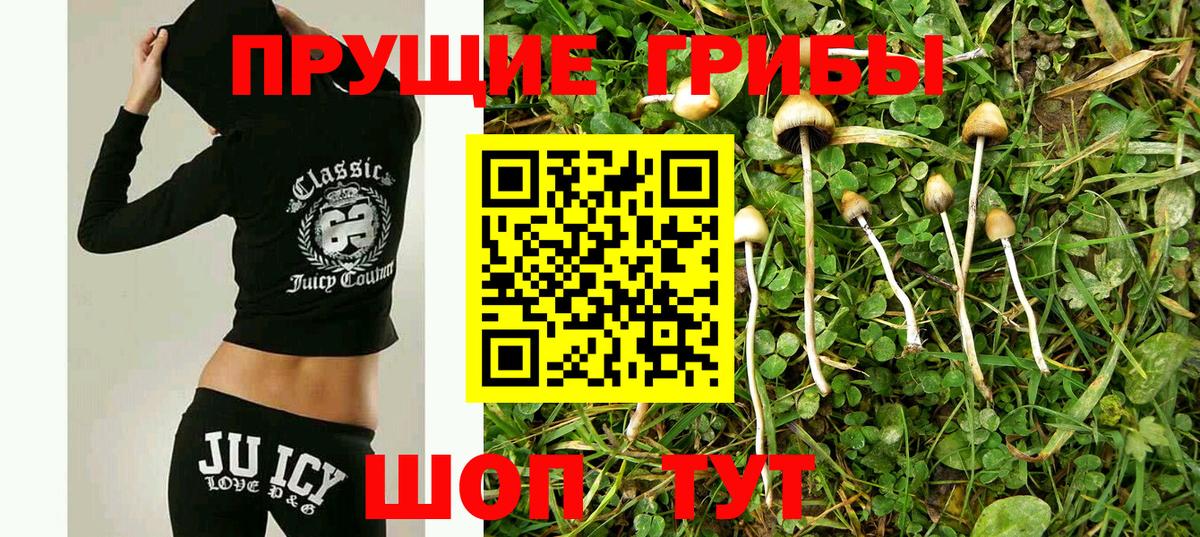 Псилоцибиновые грибы мухоморы  Галлюциногенные грибы мицелий  Краснознаменск  Вход с VPN 